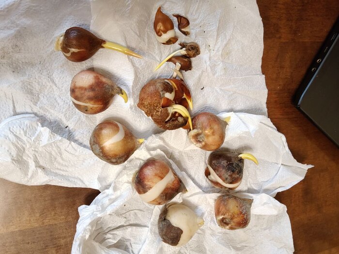 ��� �������� �������� ���������, ������� ��������� 4 ������ � ������������ ��� ����������� +4...+5 �