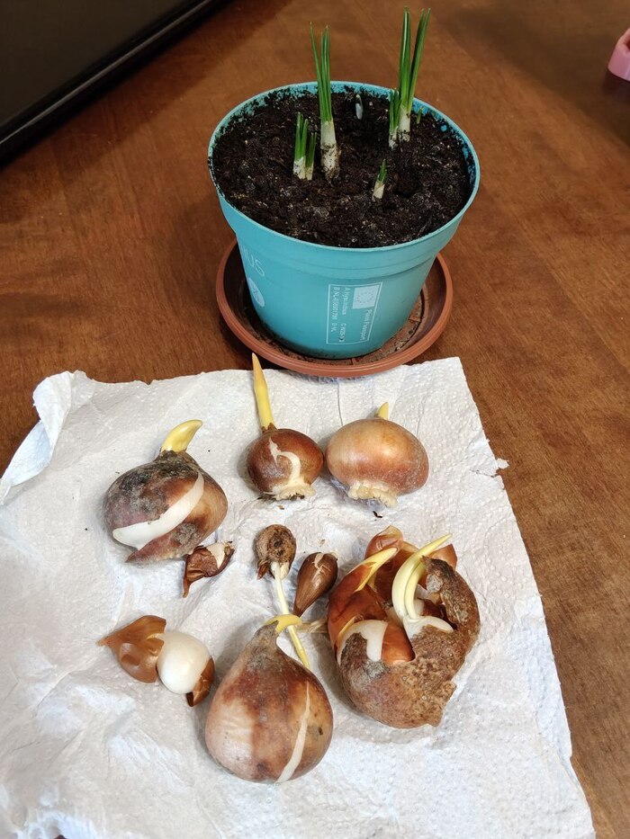 ��������, ������� � ����� �������� � �����