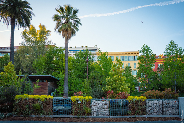 ��� ������ ���������� ������������ �����������...