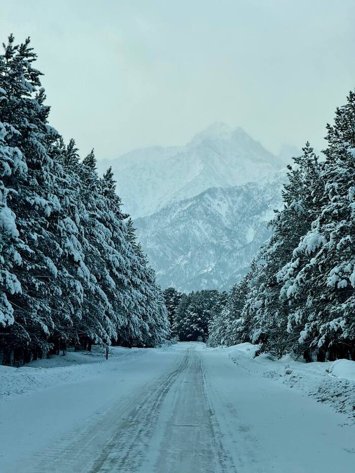 ������ �� ������������ ������