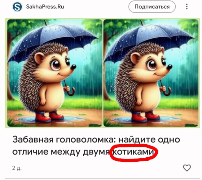 Так себе котики, хочу я вам сказать