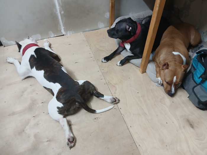 На расслабоне