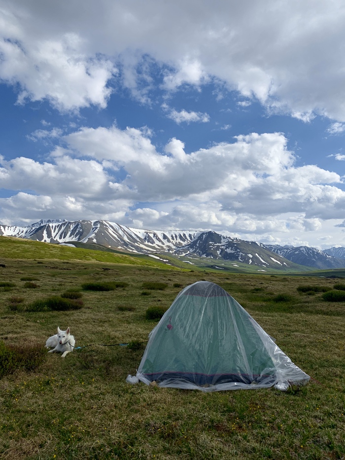 ���� ������� ��������� ���� ���������))