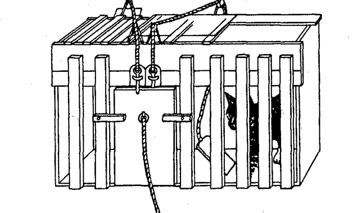 "���������� ����"