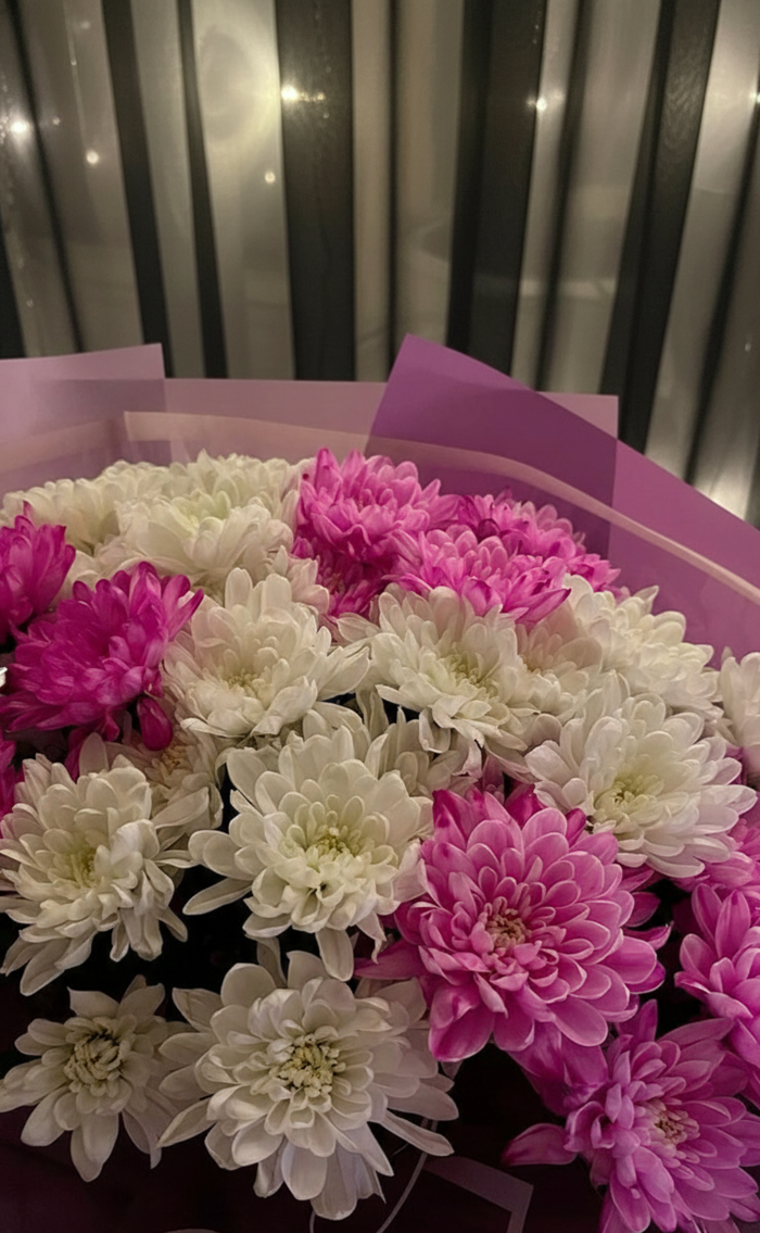 ������ �� ����� ���� ���������