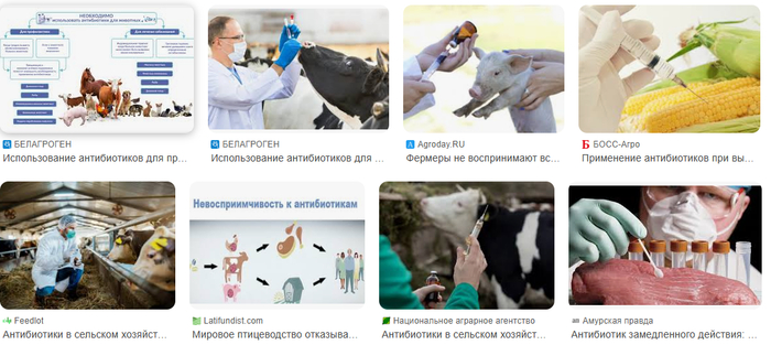 ����� �� ���� ������������: ��� �� ����������� ����� � ����������