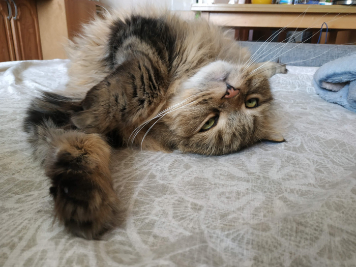 �����������: ������ ���������� ����������� ��������.