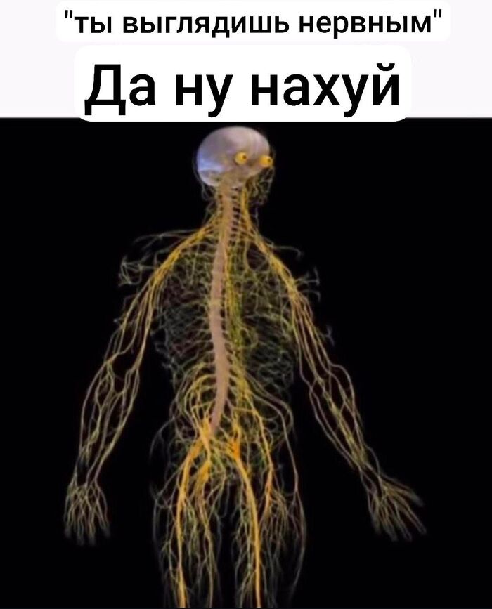 ���� ������������