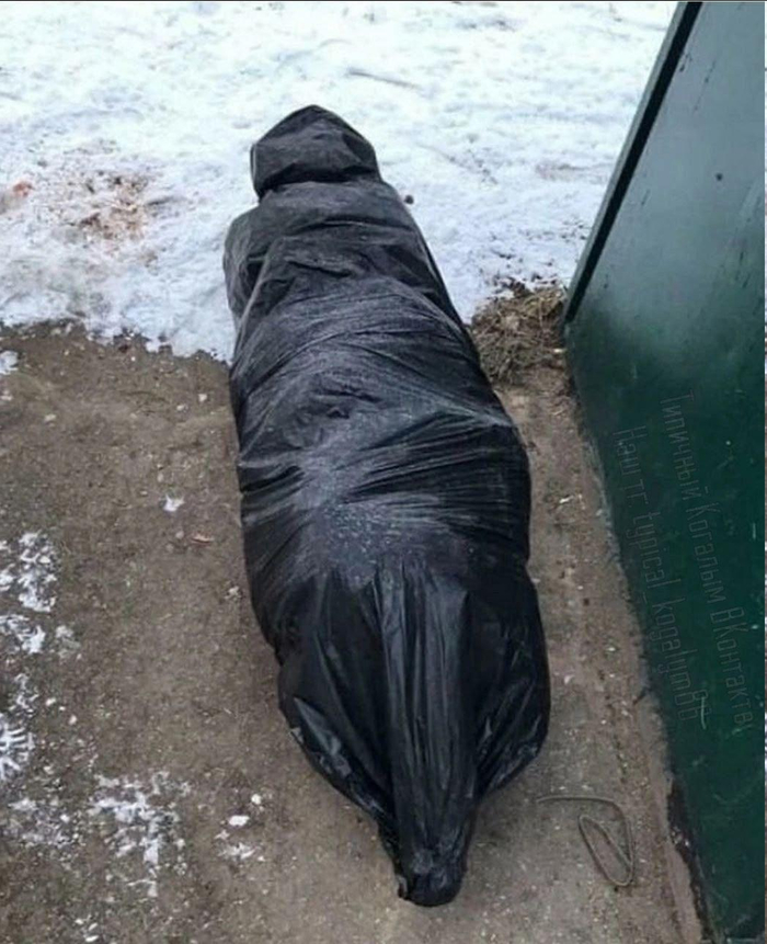 Не выбрасывайте ёлку так ...