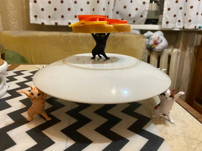 Попросил у девушки что-нибудь необычное на ужин!