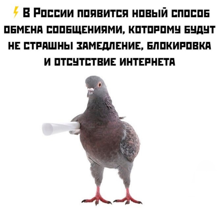 ������ � ������