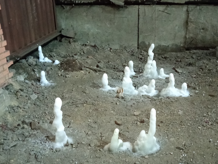 ������ �����������