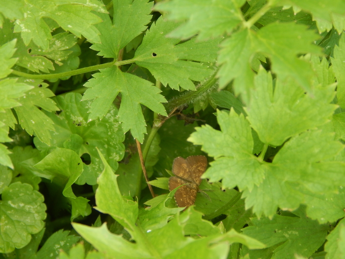 �������� ������������