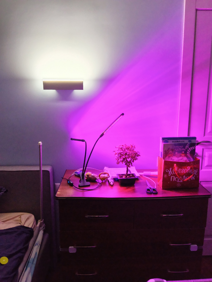 ��� ����� �� ���, ���� ������ ��� ����