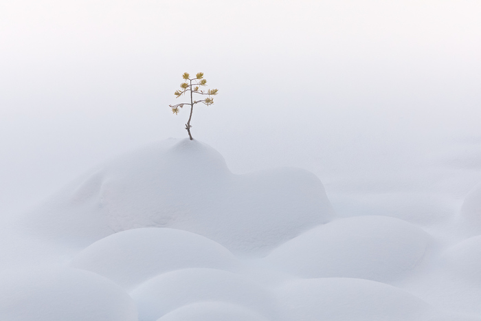 �����������...