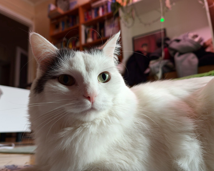 �� ���� ��� �������?