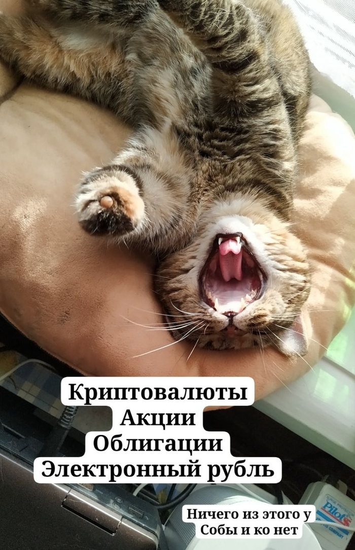 ���, ��� �����