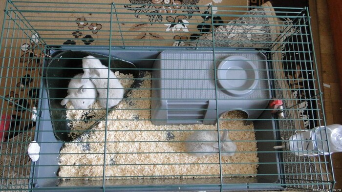 ������ ������, ��������� ����� � ������� �� ����������� ������ (�����) � ���������� ������ (������) - ����� ��� ������������ �������