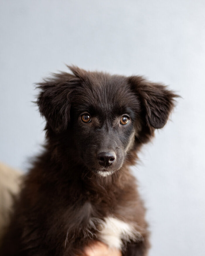 ������ � ��! ������� �������� ������ ���� ���