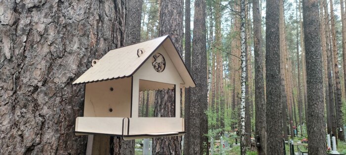 �� ����������� �������������� ��� ����. 