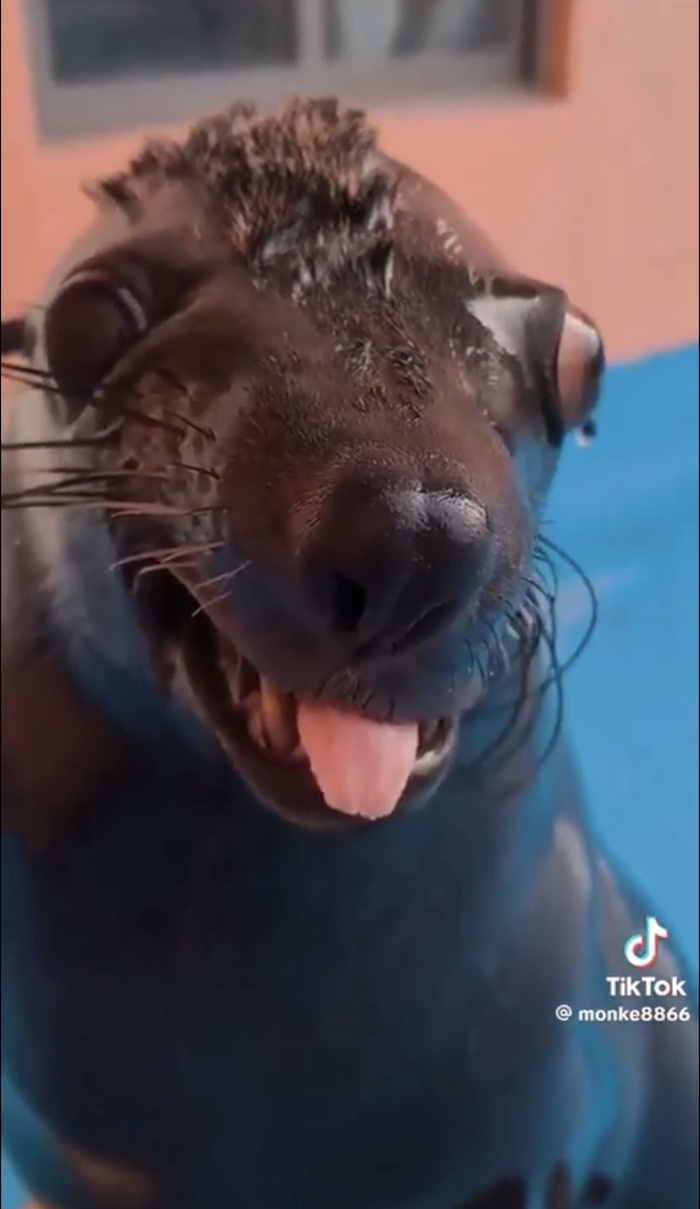 Сейчас накрашусь и на дискотеку!