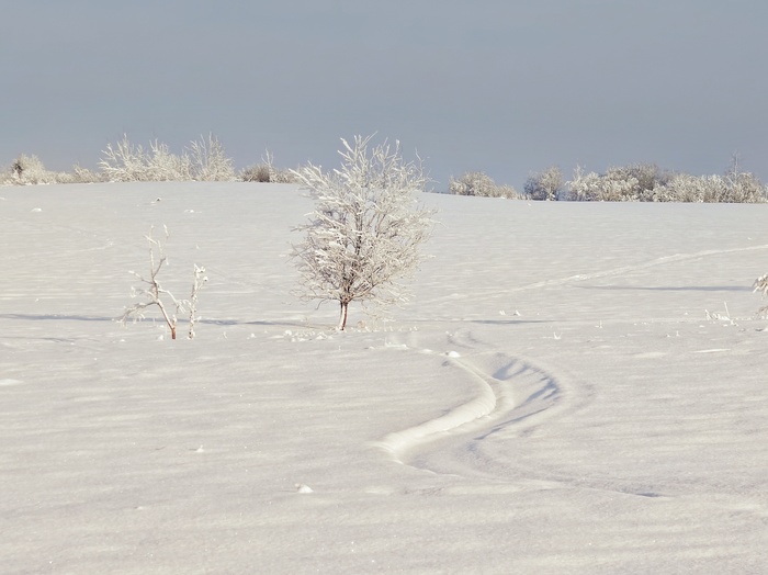 В белом поле