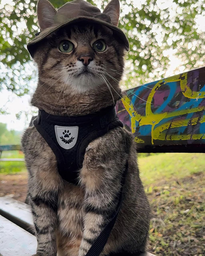 Все фотографии взяты из официального канала на платформе Iнсtаgрам