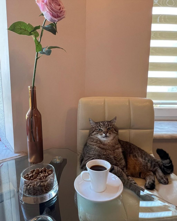 Все фотографии взяты из официального канала на платформе Iнсtаgрам