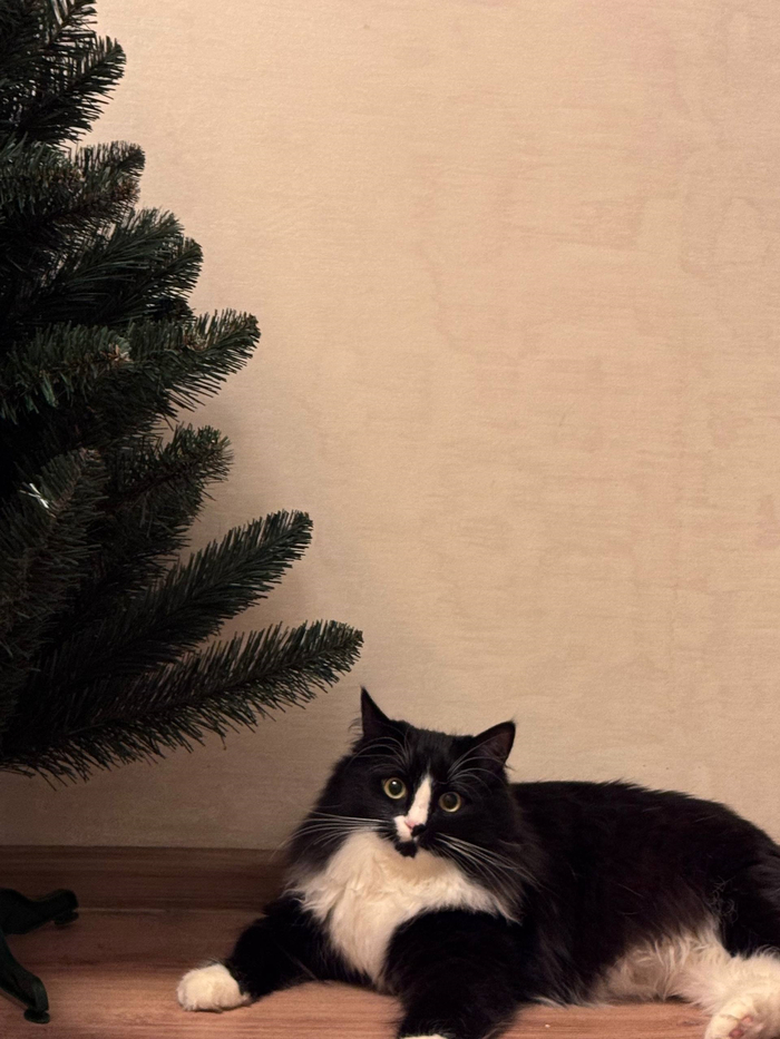 �� � ���� ��� ����� ��� �����. 