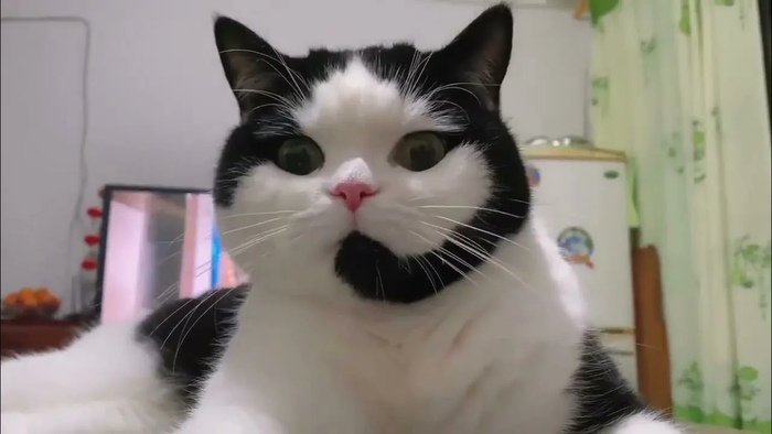 Существуют, конечно, уникумы, словно созданные природой для общения 