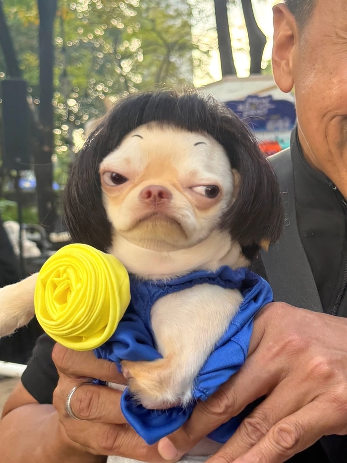 ���������� �������� �� ����� ��������