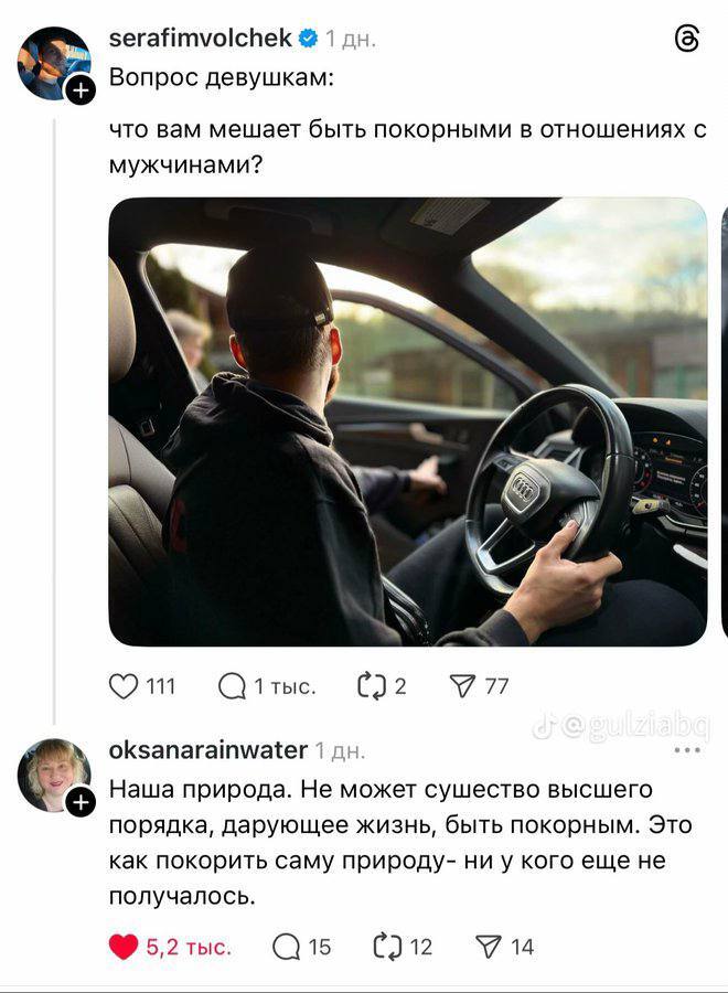 ��������������� ���� �������