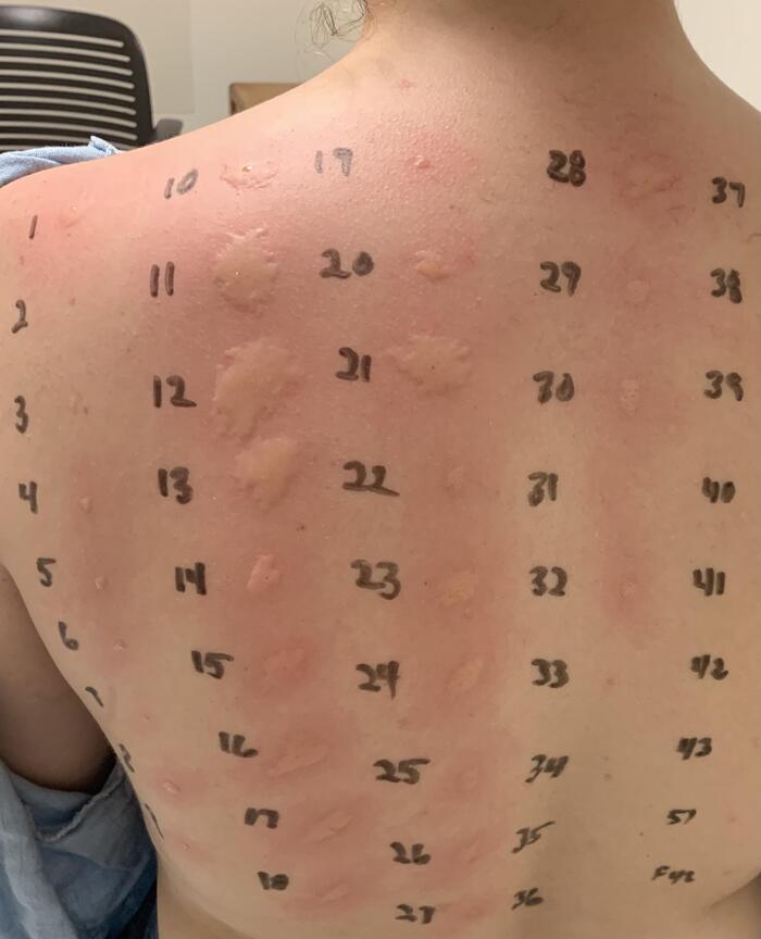 ����� ���������� ������ ��������� �������� � ������ �����