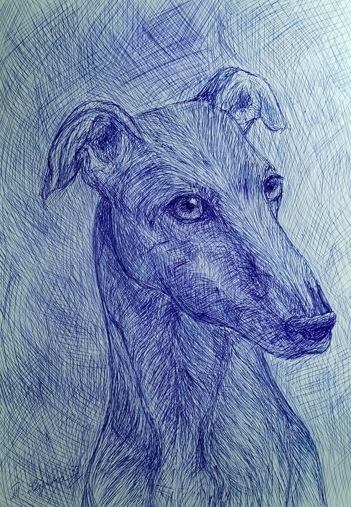 ���������� ������