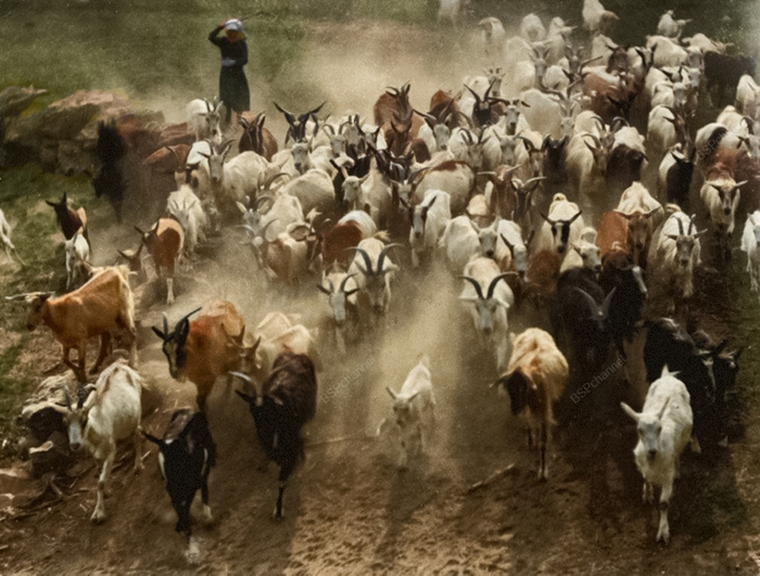 ��������: ���� �����