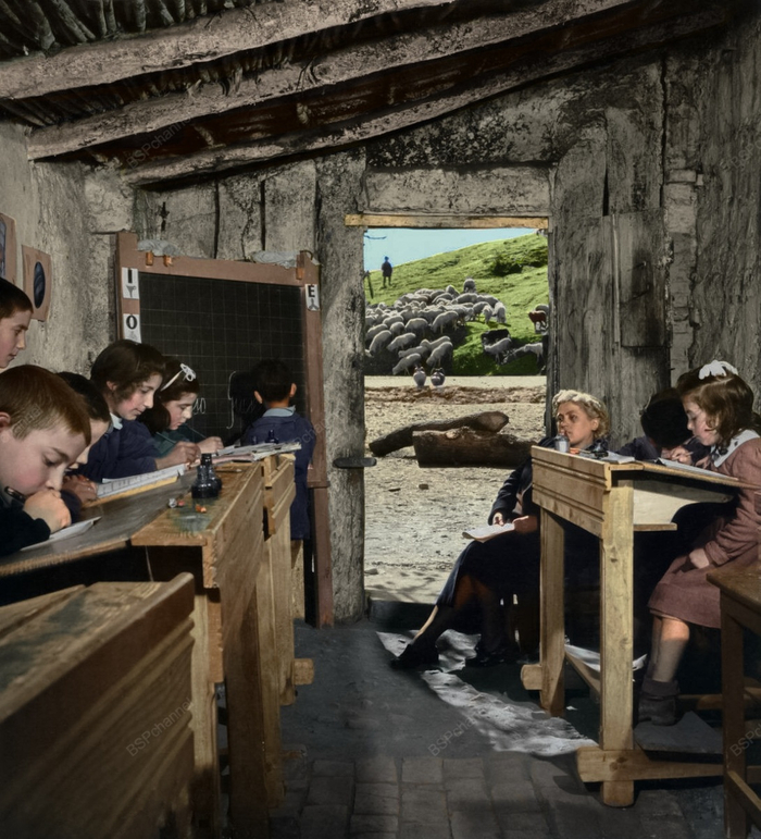 ��������: ����� ������