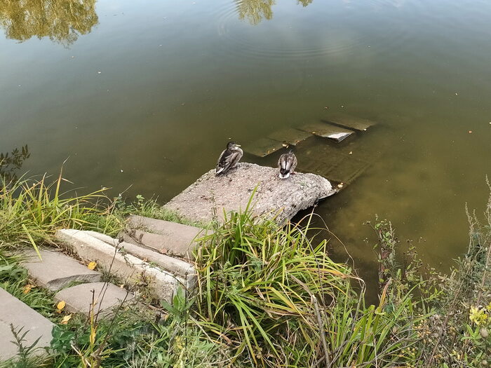 ������� �������� ���� � �������� � ����� ����