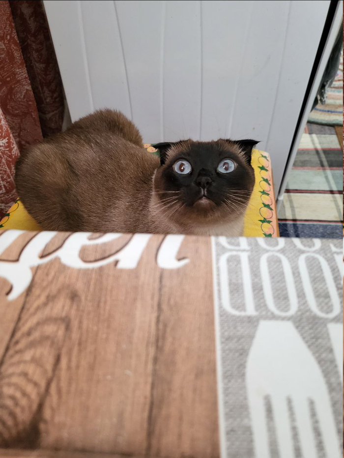 Сколько-сколько насчитали?!