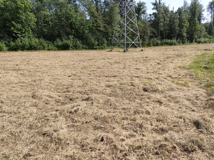 ���������, �������� � ������������� ����� � ������� �������