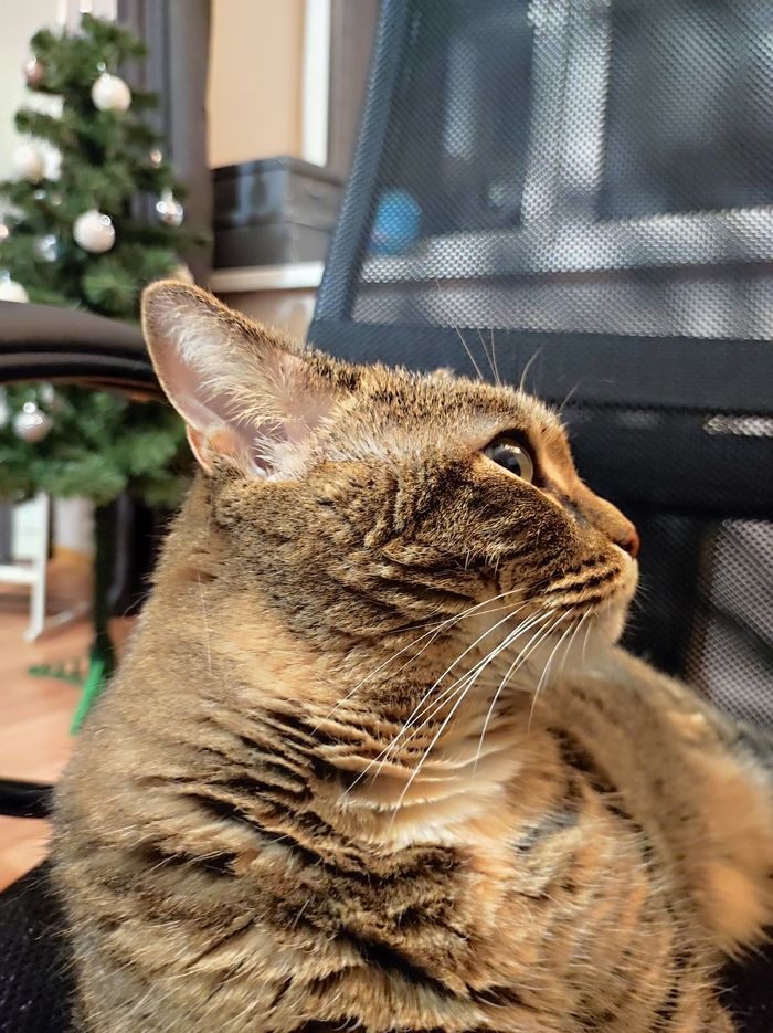 � ���, ���� ��� ��������� ������� �����, � �� ��� ���� ������ �����?