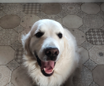 ������� ������������� ������