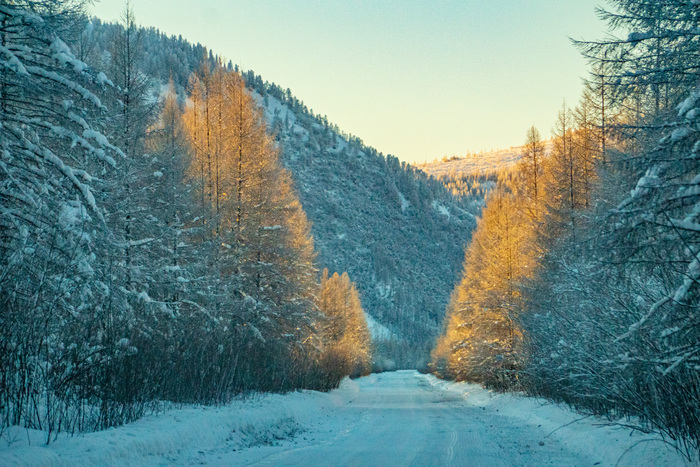 � ��� � ��������