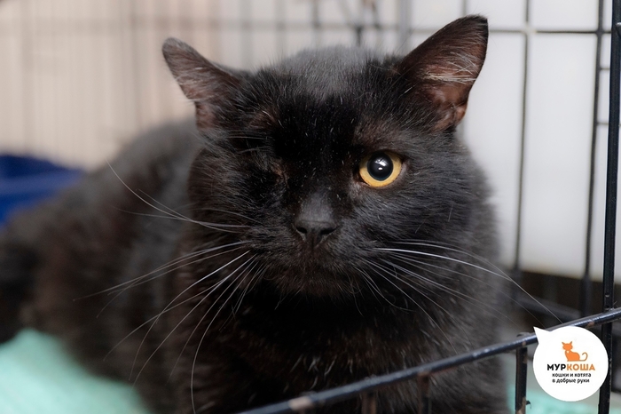 ��� ������, 7 ���, ������ �� �����.