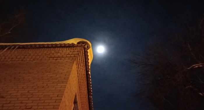 ������ ������ ������ ����