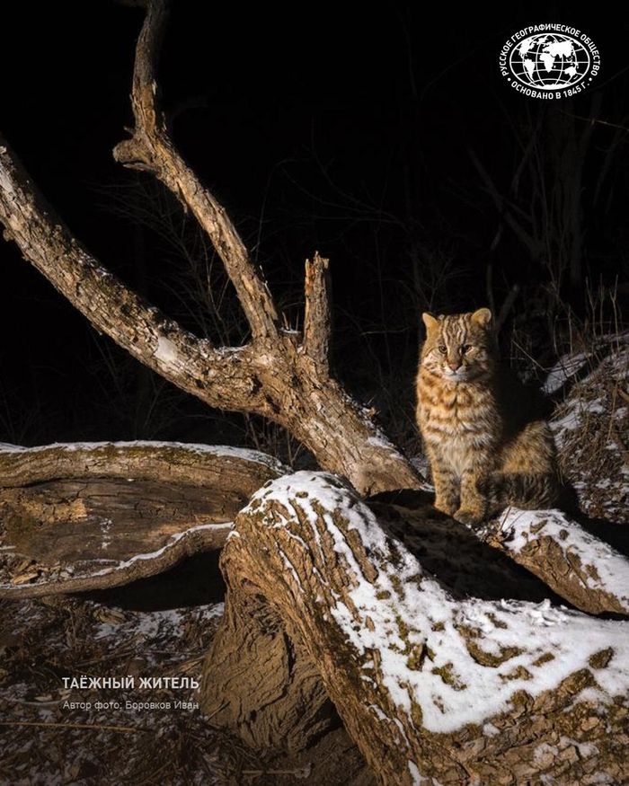 &nbsp;����: �������� ����, �������� ������������ ������ �������� ������, <a href="https://pikabu.ru/story/tayozhnyiy_zhitel_13644551?u=https%3A%2F%2Ft.me%2Frgo1845%2F18239&t=%D0%BE%D1%82%D1%81%D1%8E%D0%B4%D0%B0&h=bb2502a3a78b0379f172f5e9ef36d1982ff00aaa" title="https://t.me/rgo1845/18239" target="_blank" rel="nofollow noopener">������</a>