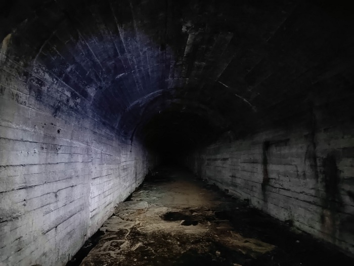 ������ ��� ����� �������. ��������, ����������� �������. ����: ����� ���������