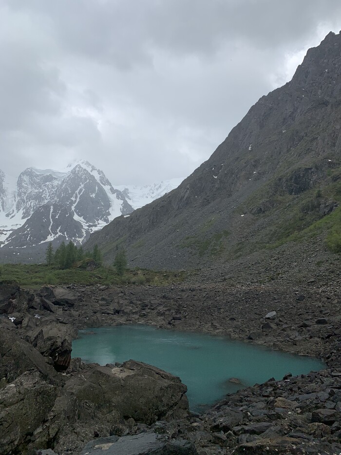 ������� ����� ������ ���������