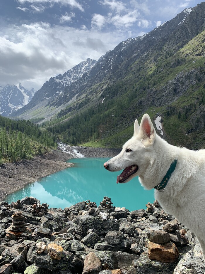 � ��� ������ �� ������� ���� �� ������. ����� �������� ����������� � ���� ����������� ��������))