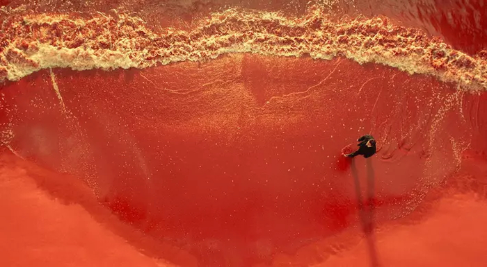 ��������. ���� ������ (2024)