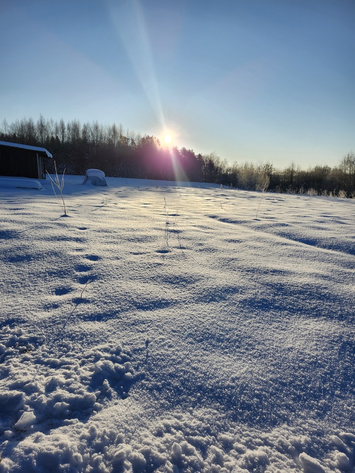 ���� � ����������)